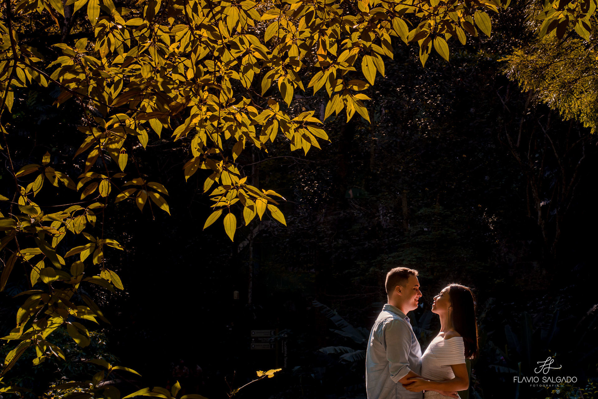 Foto Ensaio Pré Casamento - Floresta da Tijuca - RJ Foto Ensaio Pré Casamento - Floresta da Tijuca - RJ - Imagem 4